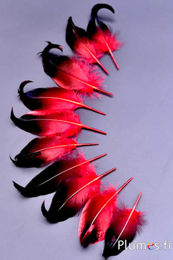 Canard boucles - 6-9 cm - rouge